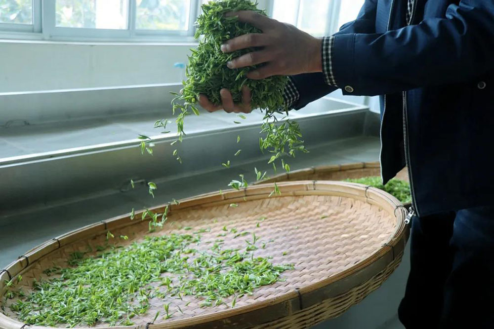 666